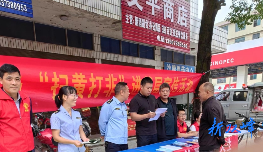 沙塘乡人大代表走村入户助力防诈骗宣传