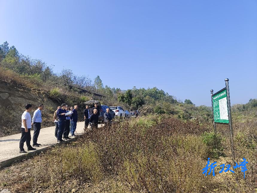 市林业局来双验收湘西南水土流失及石漠化综合治理封山育林项目