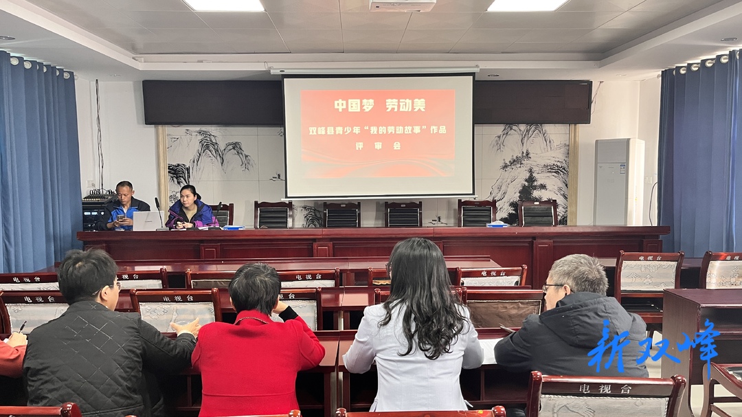 双峰县举行青少年“我的劳动故事”作品评审会