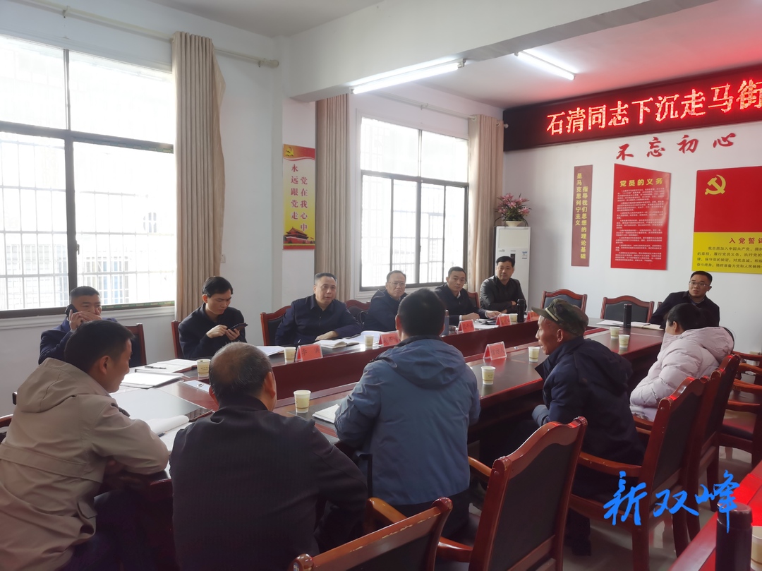 【走基层 找问题 想办法 促发展】彭石清到走马街镇接待群众来访