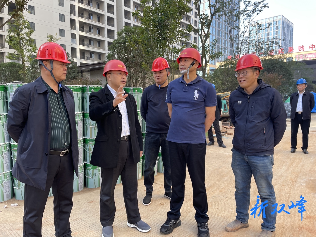 【走基层 找问题 想办法 促发展】李基联带队到县城区检查安全生产工作
