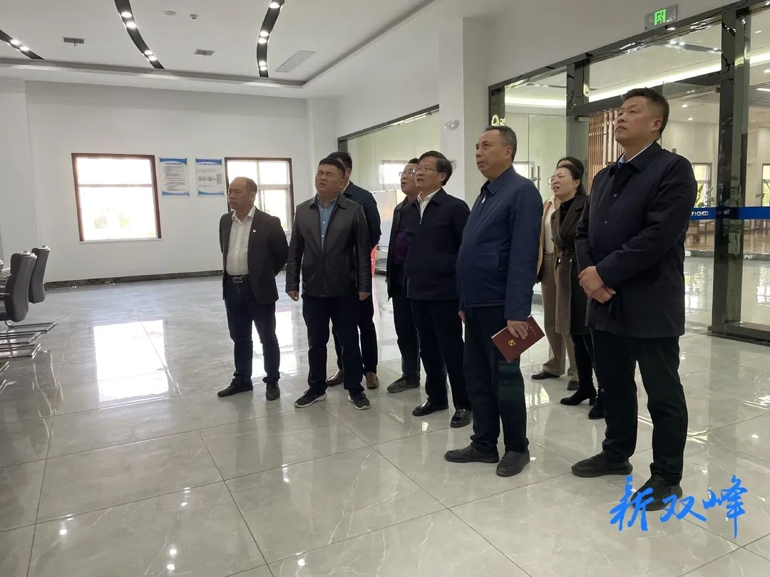 省委主题教育巡回督导组来双峰县开展走访调研