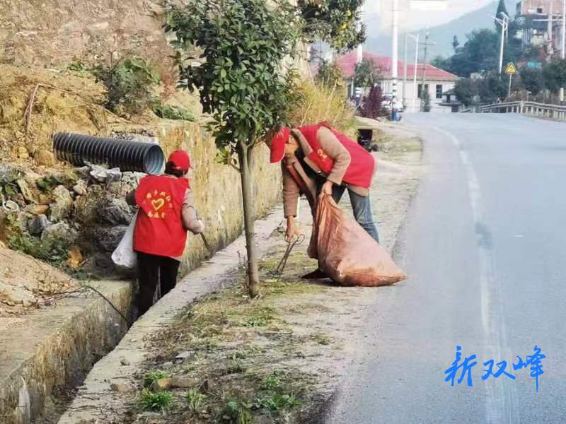 助力人居环境整治，沙塘乡“和美志愿者”在行动