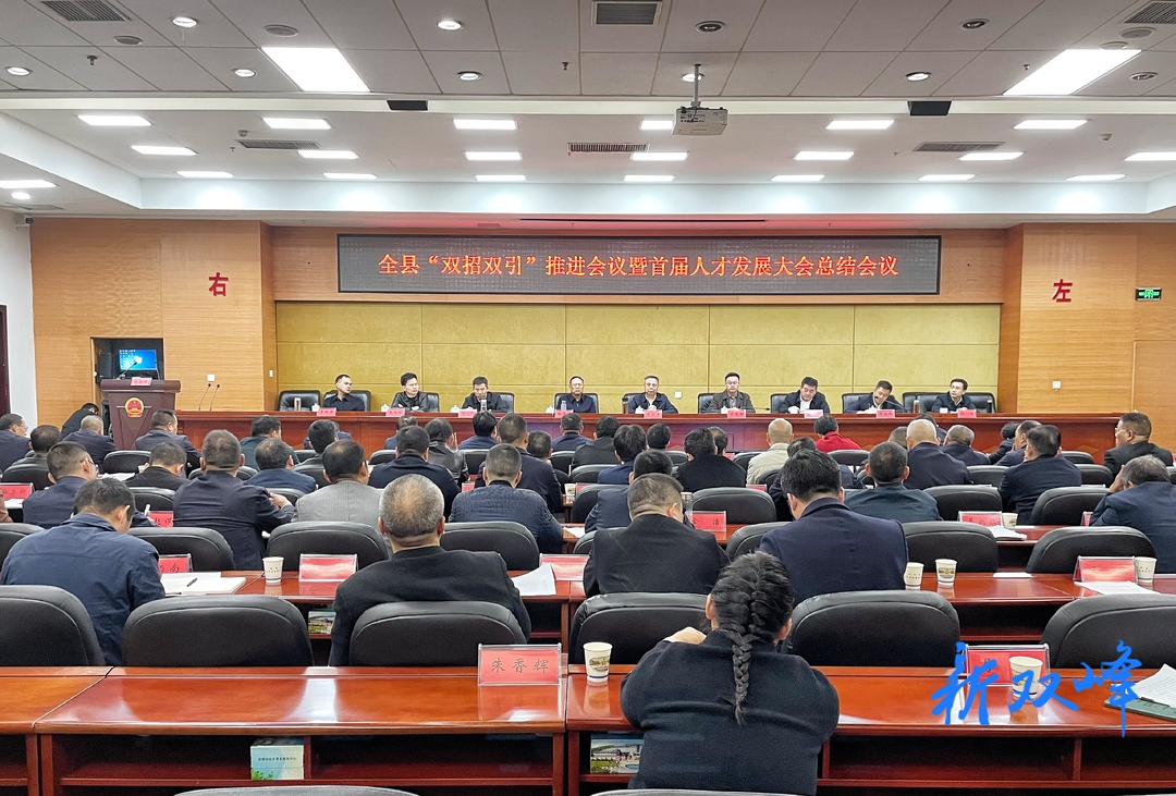 双峰县召开“双招双引”推进会议暨首届人才发展大会总结会议