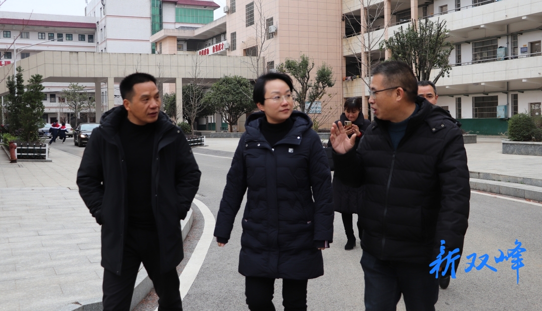 县领导到双峰二中调研