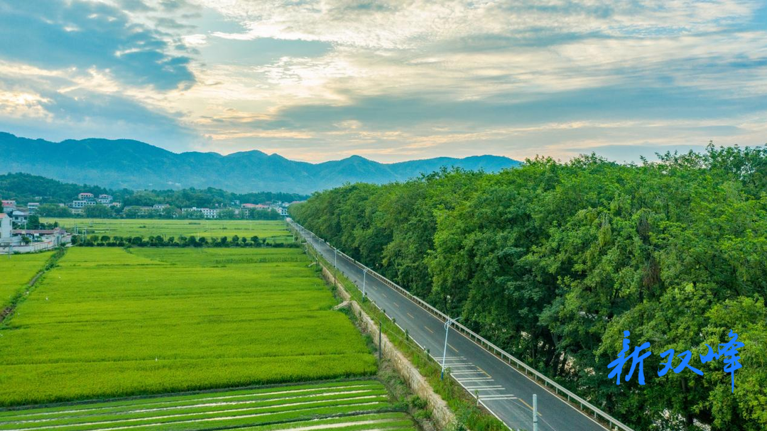 双峰：建好“四好农村路”，助力乡村振兴