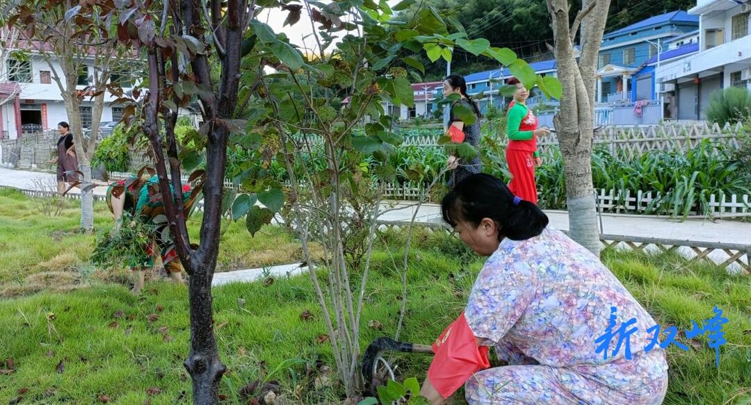 杏子铺镇：念好“三字经” 推动人居环境综合治理实现新提升
