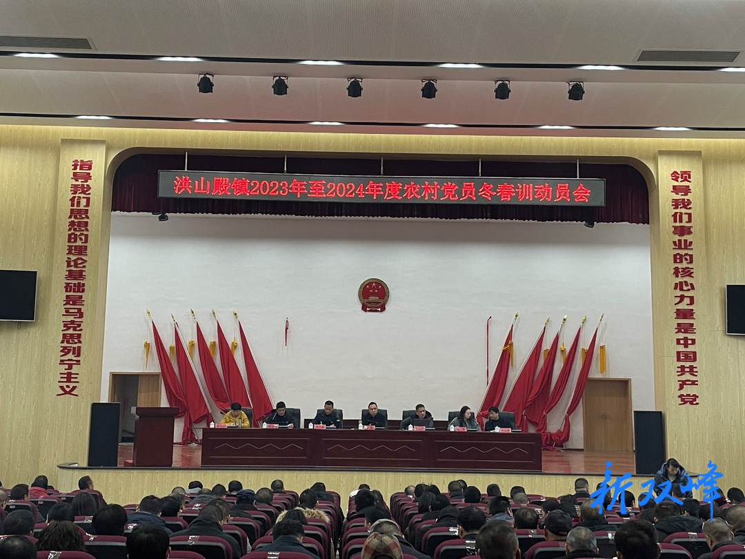 洪山殿镇：高质高效推动党员冬春训