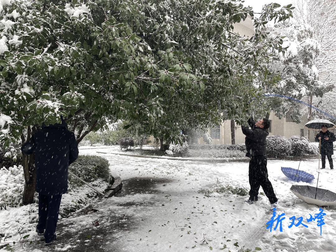 双峰：以雪为令 扫雪除冰保畅通（二）