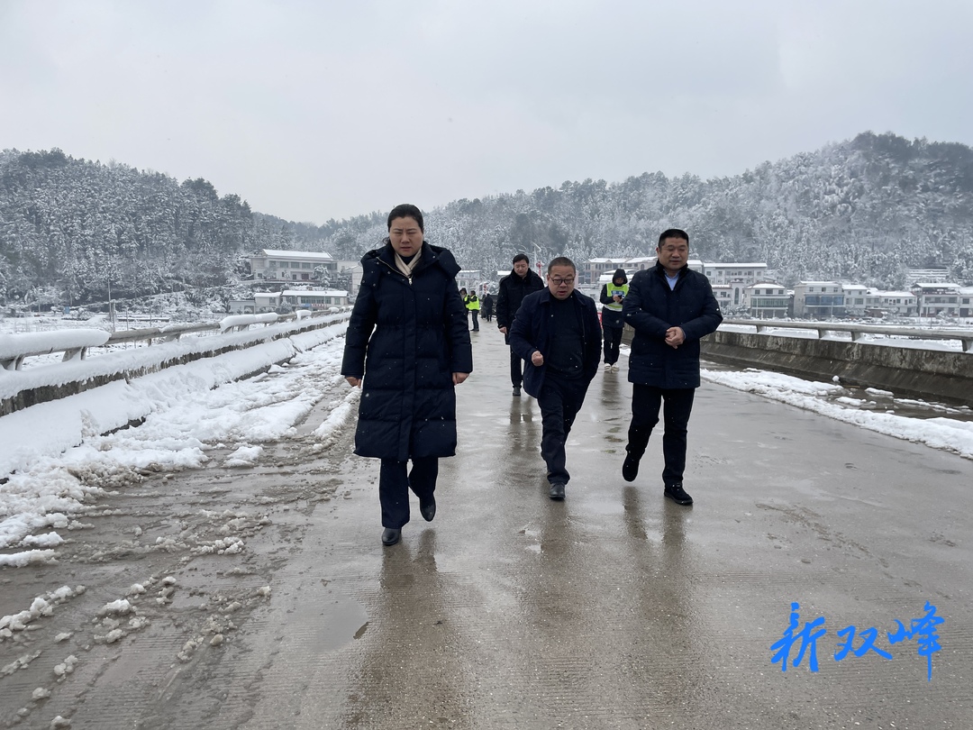 县领导到杏子铺镇督导应对低温雨雪冰冻天气安全防范工作