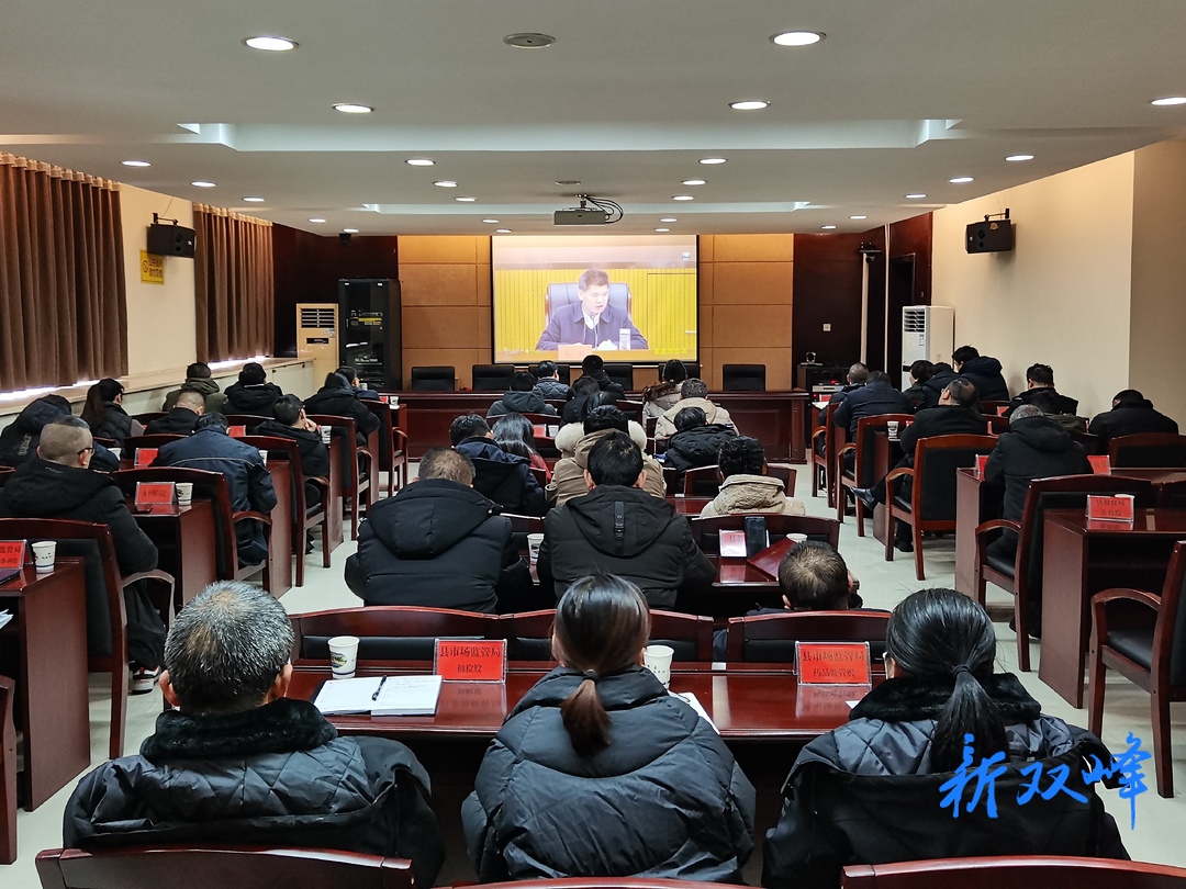 双峰收听收看全市教育卫健市场监管领域安全工作暨乡镇医疗废水处理问题整治工作推进视频会议