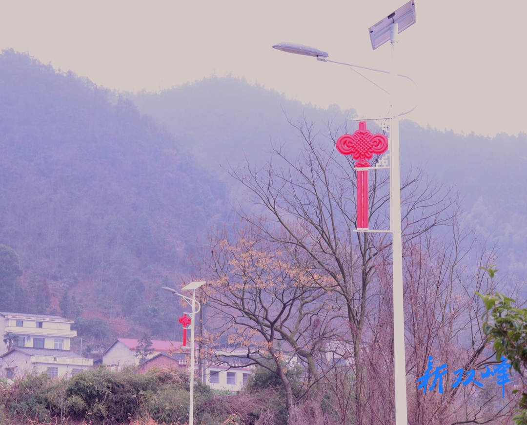 沙塘乡双红村：爱心人士出资十万元，安装路灯照亮村民回家路