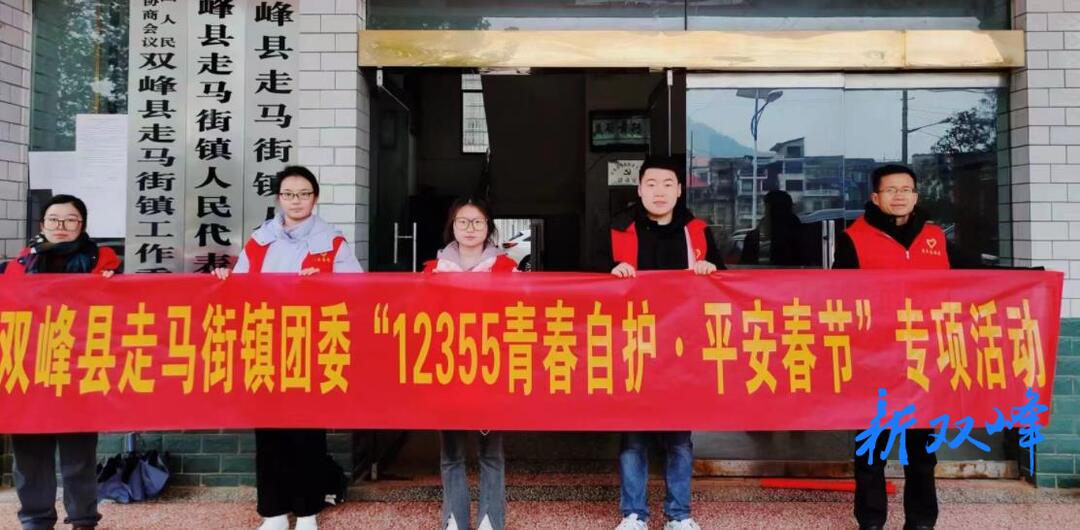 走马街镇团委开展“12355青春自护·平安春节”专项活动