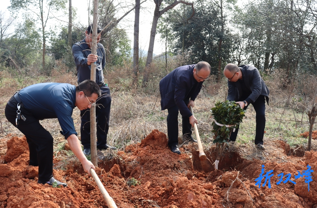 印塘乡：植树添绿正当时