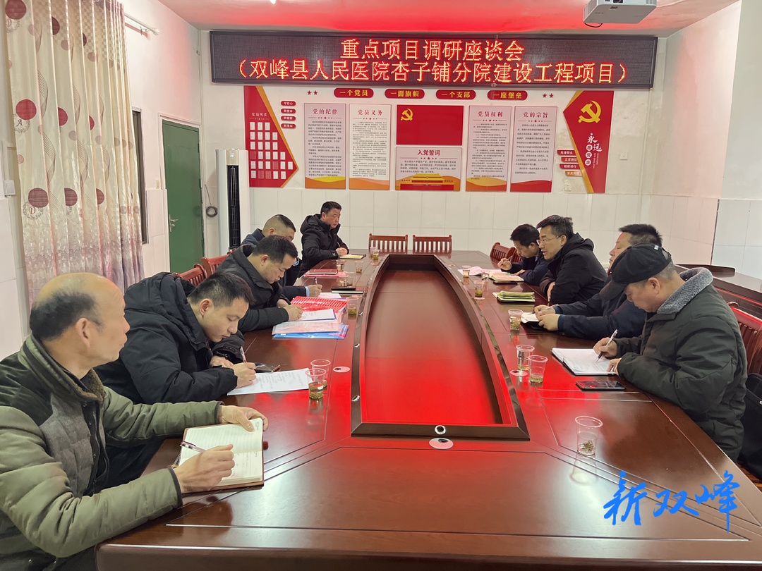 县领导到杏子铺镇调度重点项目建设情况