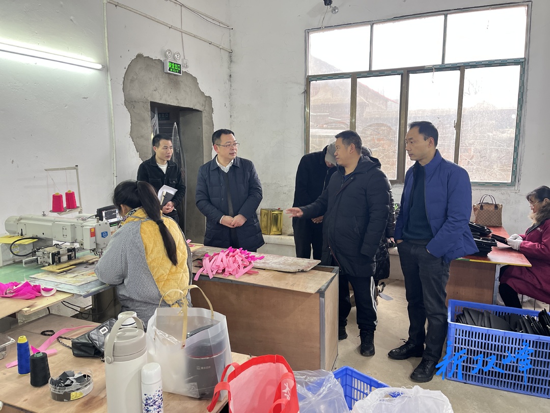 双峰：抓项目促复工强保障 高质高效推进重点项目建设