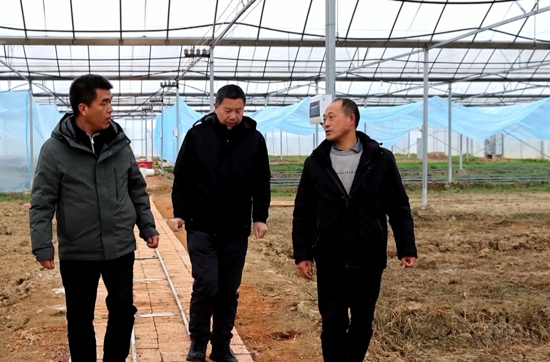 双峰：集中育秧准备足 早稻秧苗不用愁