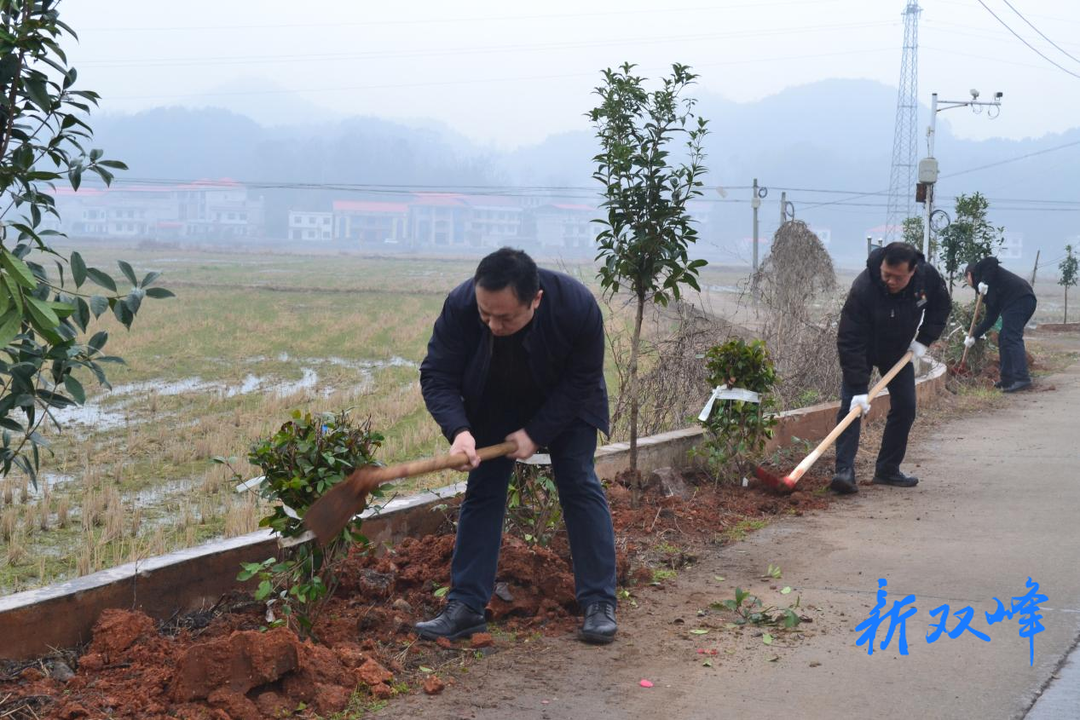 忙趁春光添绿意——洪山殿镇开展义务植树活动