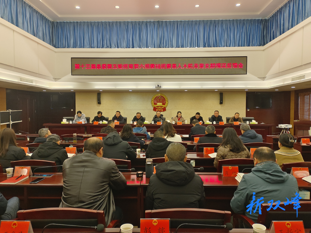 县委第六巡察组向县人大常委会机关党支部反馈巡察情况