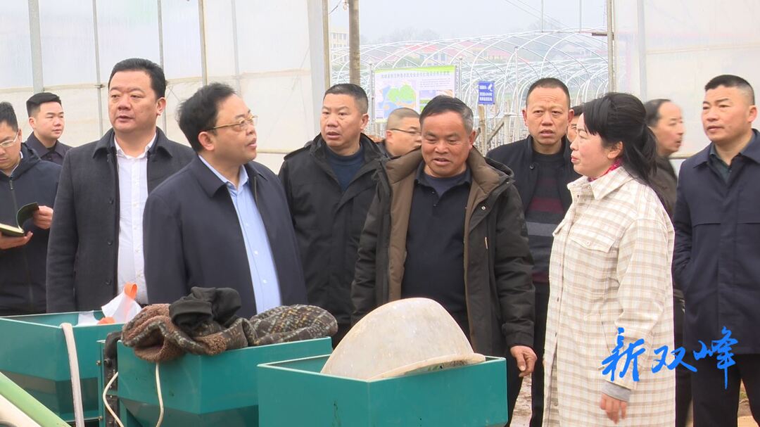 蒋天海来双峰县调研春耕备耕工作时强调：抢抓农时不误农事 全力抓好春季农业生产