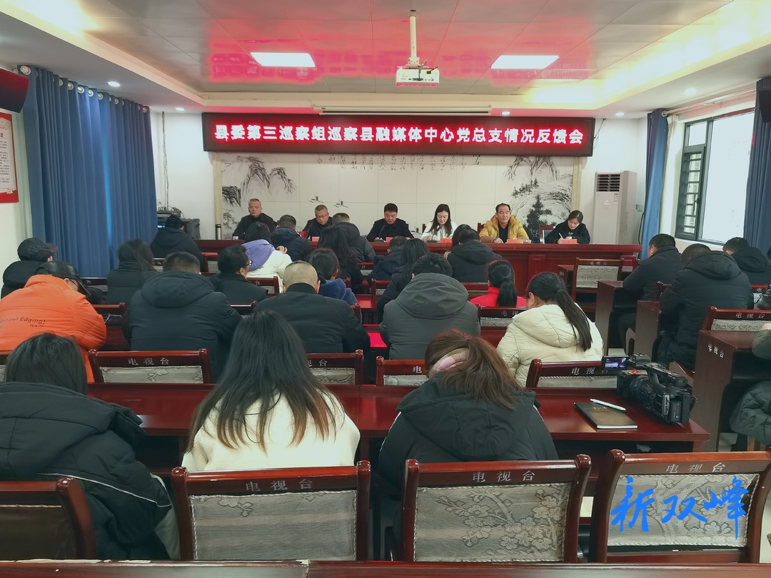 县委第三巡察组向县融媒体中心党总支反馈巡察情况