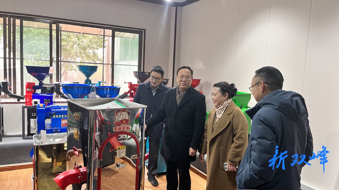段平屏调度重点项目推进情况