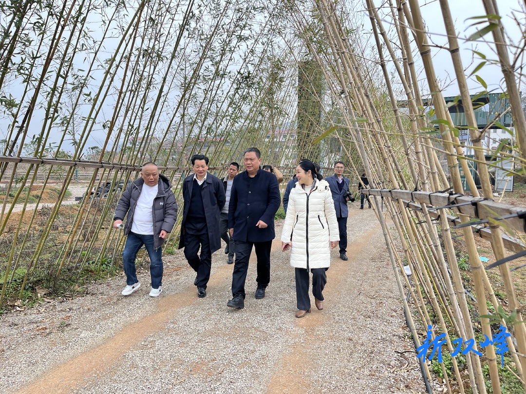 李文洪来双峰调度龙腾水府生态园项目建设情况