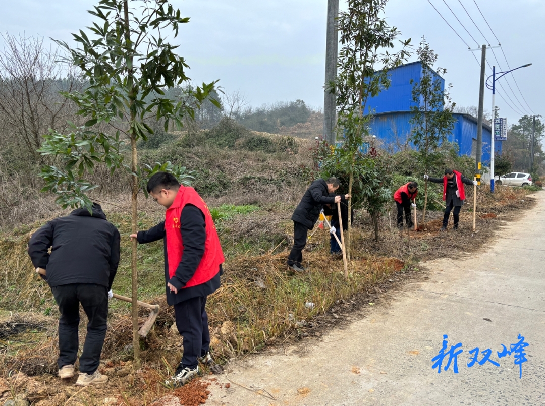 双峰县城投集团开展义务植树活动