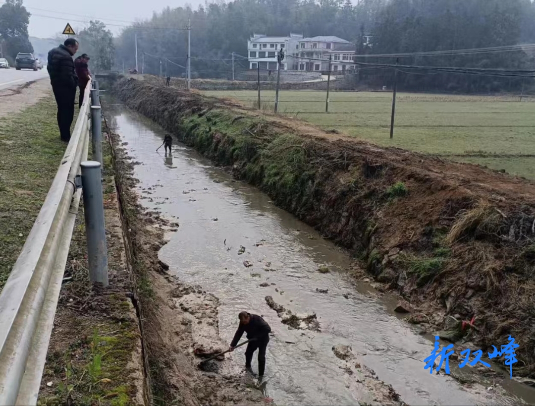 荷叶镇：让每一条河道都水清河畅岸绿景美