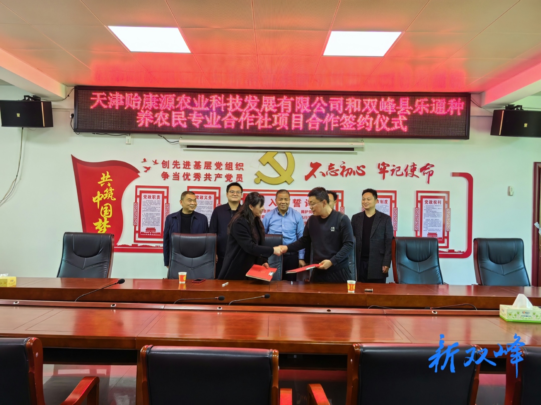 荷叶镇：招商引资再添新动力 农旅项目落地生根