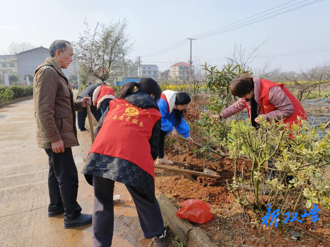 双峰农机事务中心：义务植树为乡村添新绿