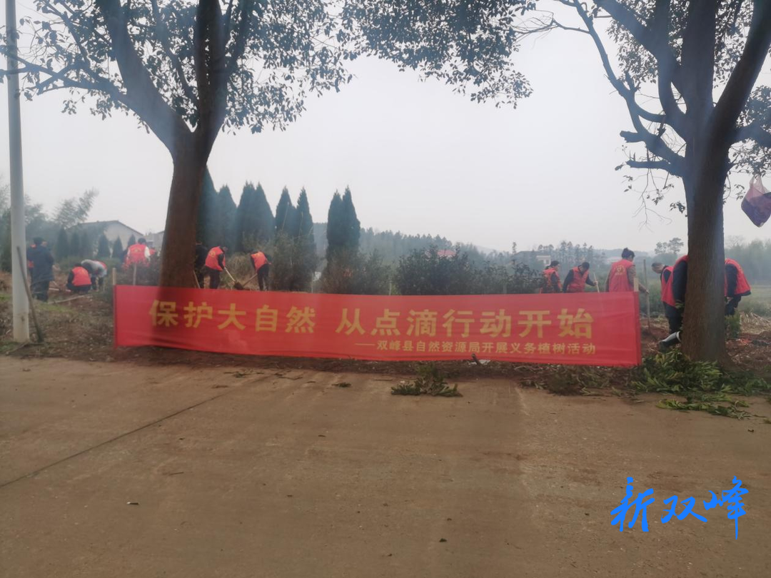 县自然资源局开展主题党日活动