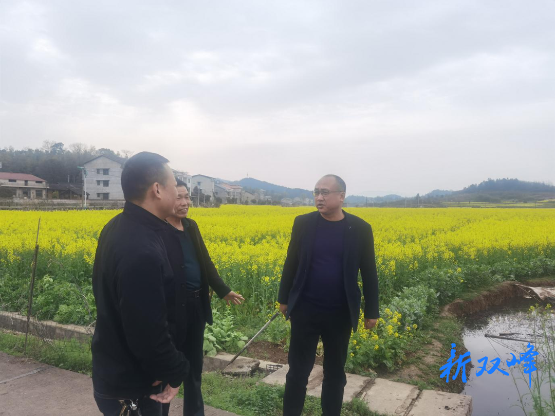 印塘乡：人勤春来早，春耕备耕正当时