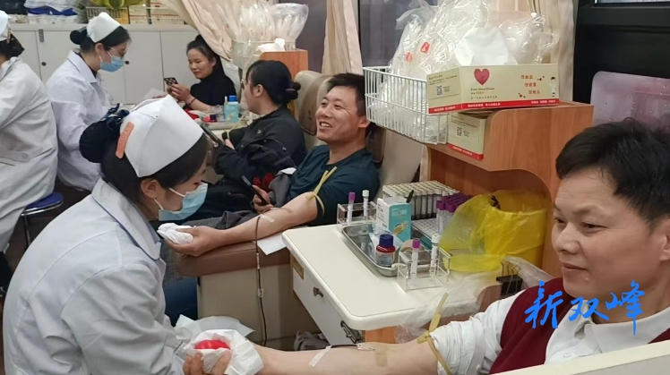 青树坪镇组织开展义务献血活动