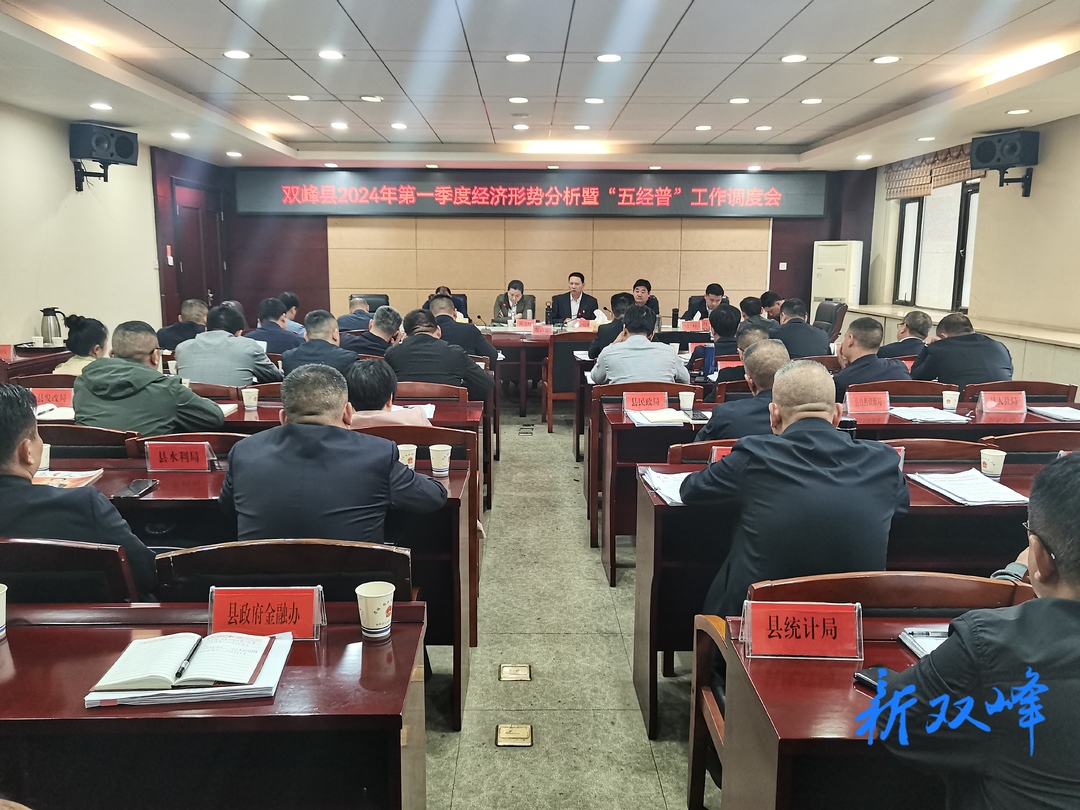双峰县召开2024年第一季度经济形势分析暨“五经普”工作调度会