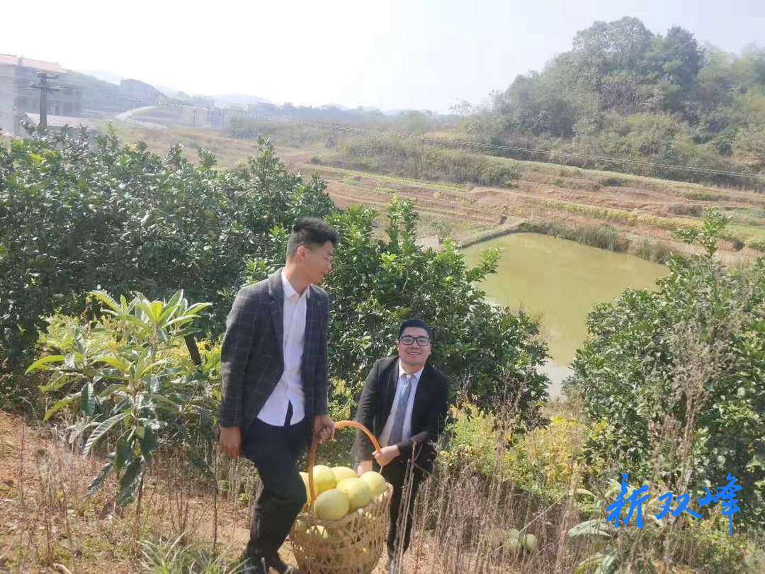 双峰沪农商村镇银行：金融服务向农而行 为民服务尽显情怀