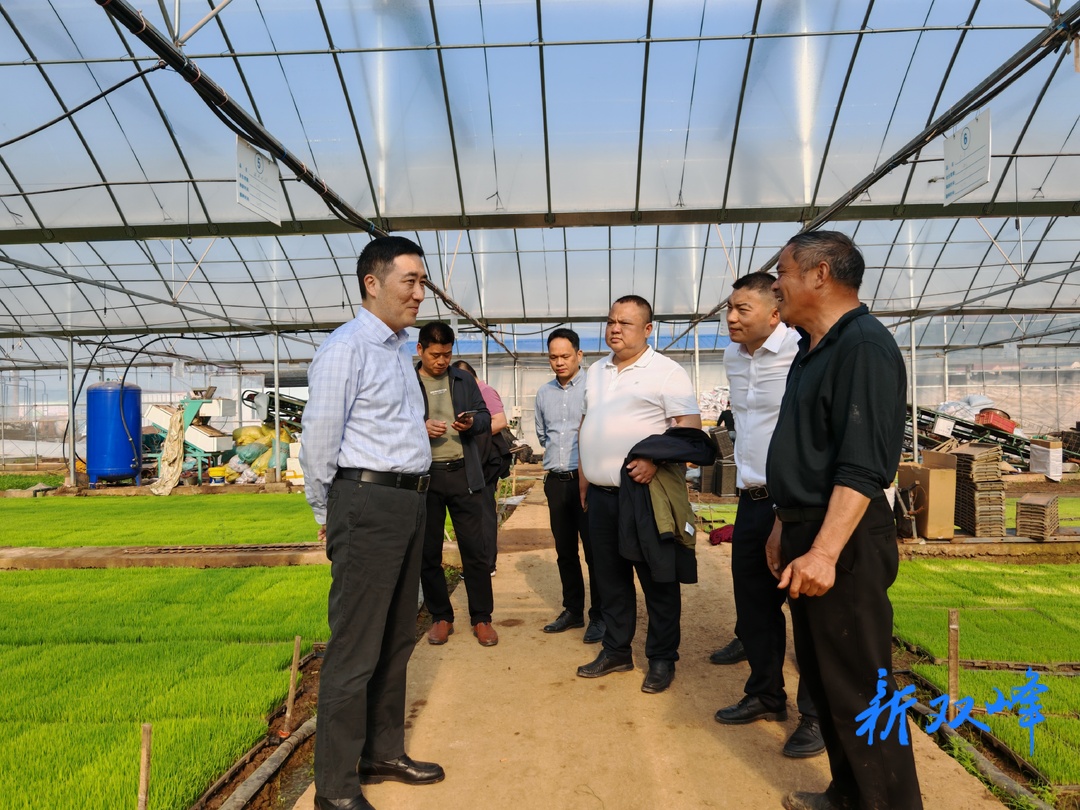 王文红到乡镇调研粮食生产和春耕备耕工作