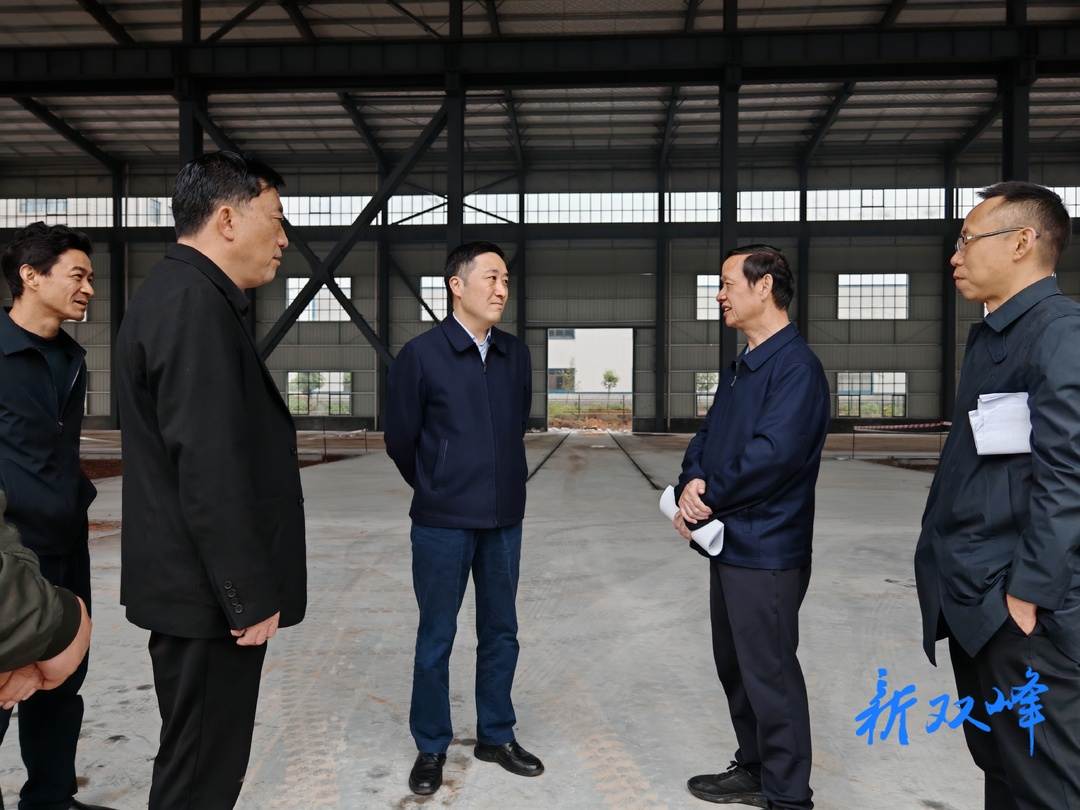 市委重点建设项目督导组来双峰督导重点项目谋划及建设工作