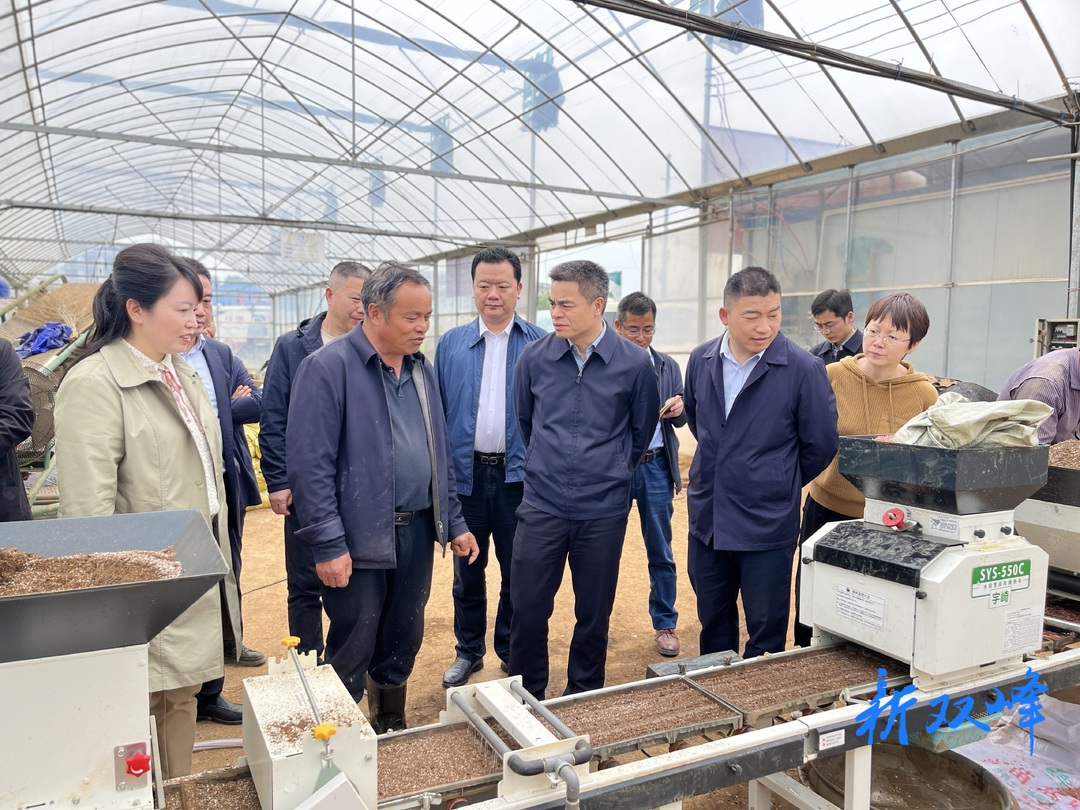 省农业农村厅党组书记厅长王建球来双峰调研粮食生产工作