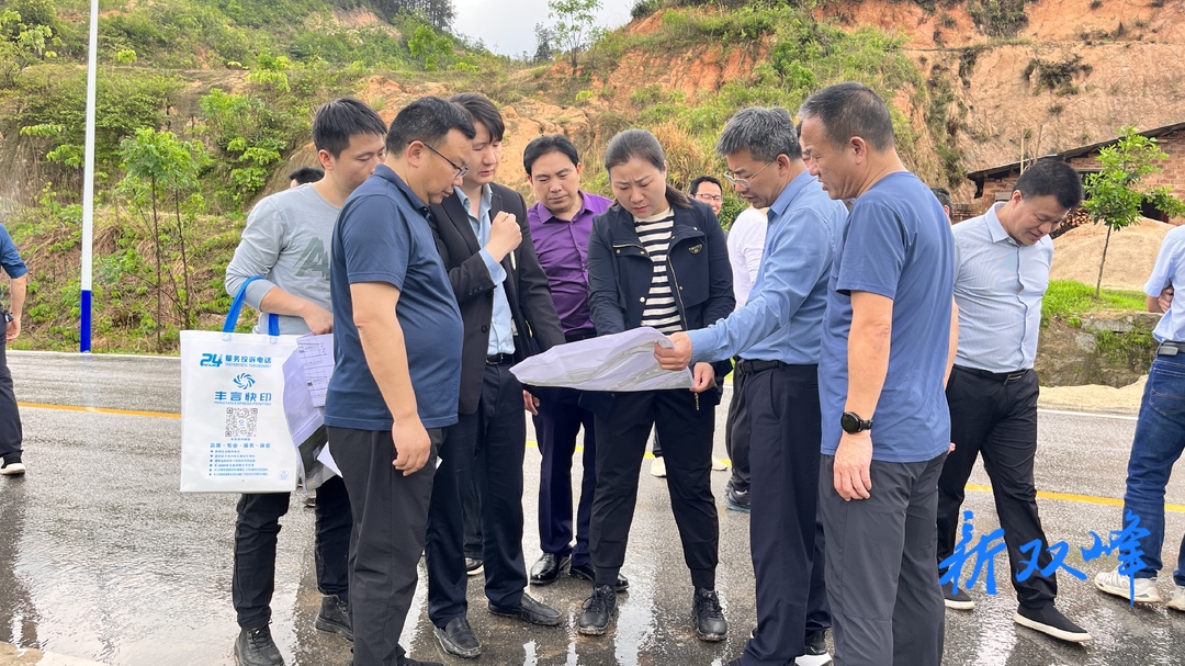 县领导调度双峰县承办2024年娄底市第三届旅发大会实施重点项目