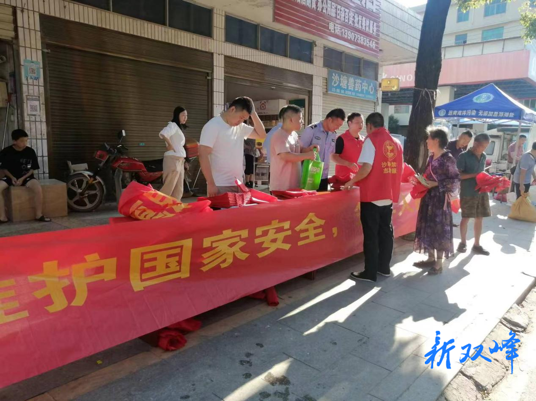 沙塘乡组织开展“4·15”国家安全法治教育宣传活动