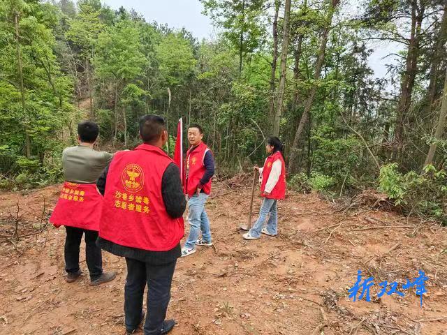 沙塘乡：禁种铲毒在行动 全面踏查守净土