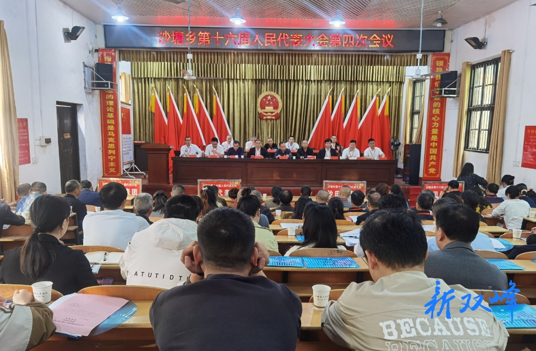 沙塘乡第十六届人大四次会议召开
