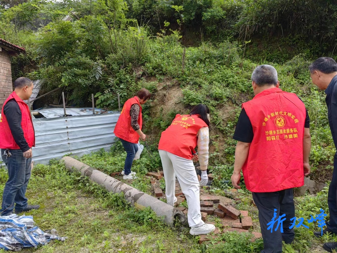 沙塘乡：推进人居环境整治 打造美丽宜居乡村