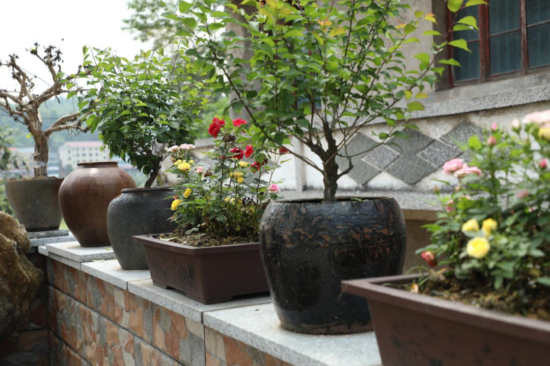 "星"屋场99 |云路屋场:向"美"而行