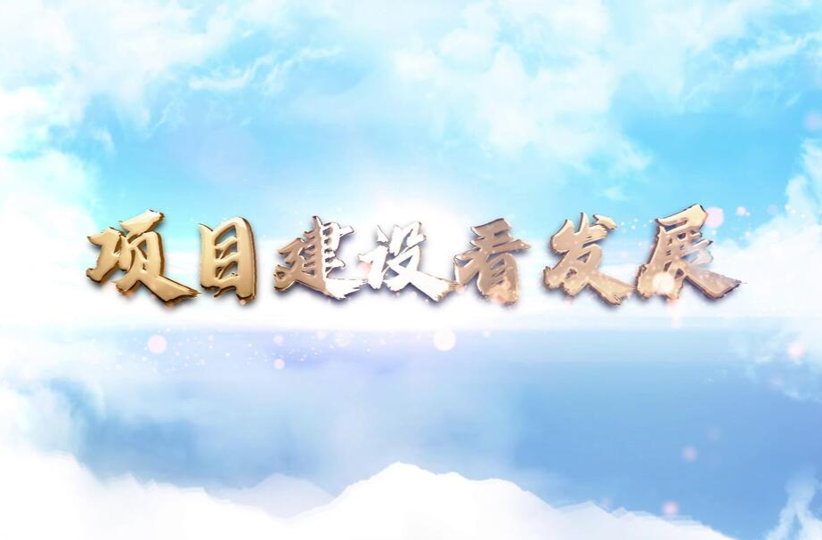 项目建设看发展