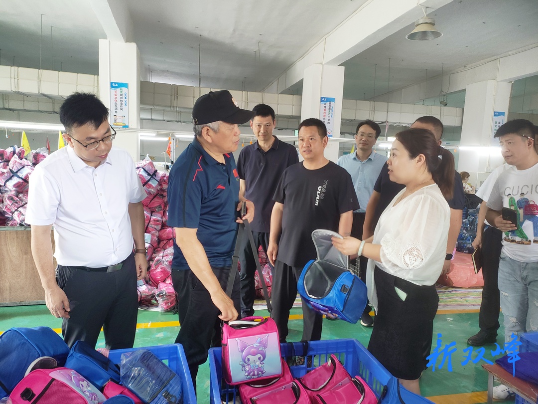 中国经济体制改革研究会一带一路建设委员会主任宋荣华来双峰县考察调研