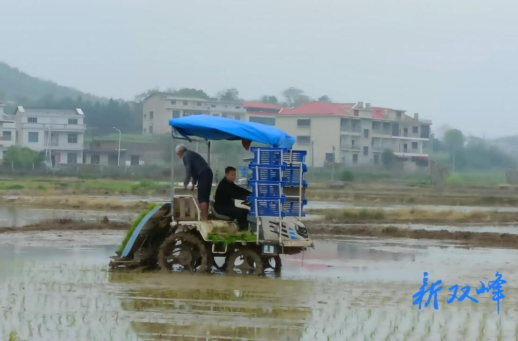 杏子铺镇：整治“撂荒地” 变身“丰收田”