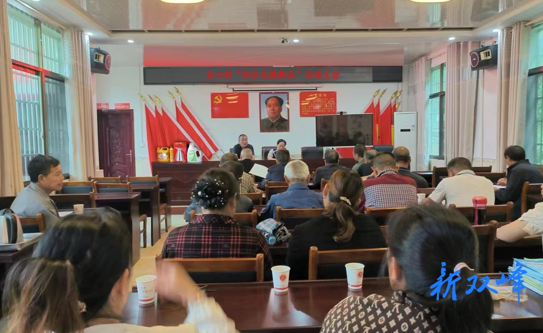 杏子铺镇合心村：“五位一体”治理模式推动基层治理水平有效提升