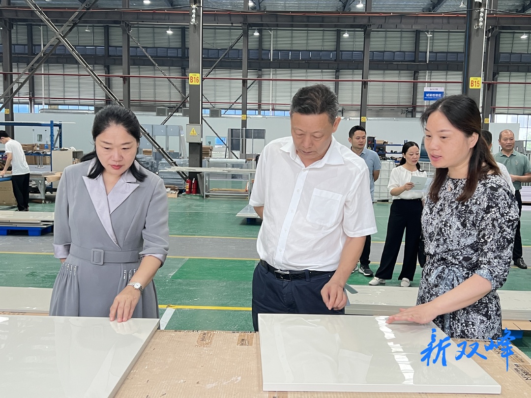 市人大来双峰调研半年经济运行、优化营商环境、政府债务管理、预算联网监督系统建设和运用情况